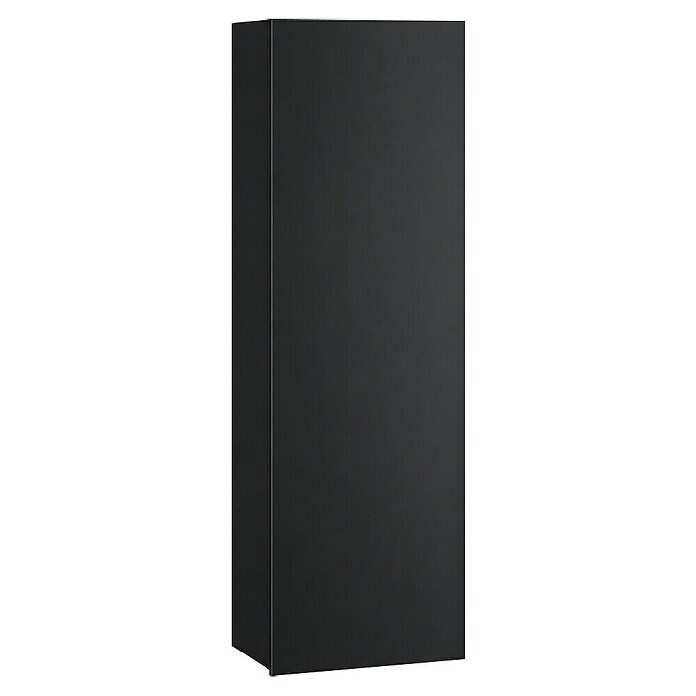 Armario alto Universal (L x An x Al: 25 x 25 x 110 cm, Negro) | BAUHAUS
