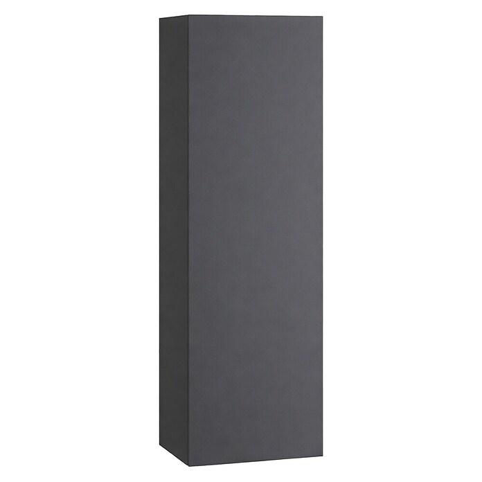 Armario alto Universal (L x An x Al: 25 x 25 x 110 cm, Antracita) | BAUHAUS