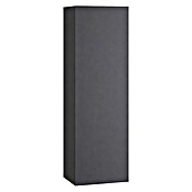 Armario alto Universal (L x An x Al: 25 x 25 x 110 cm, Antracita) | BAUHAUS