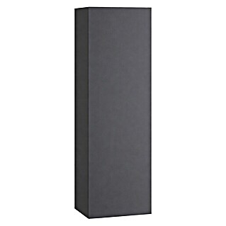 Armario alto Universal (L x An x Al: 25 x 25 x 110 cm, Antracita)