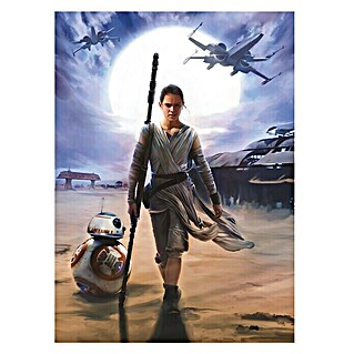 Komar Star Wars Fototapete Rey (4 -tlg., B x H: 184 x 254 cm, Papier)