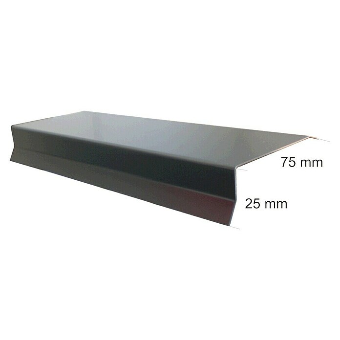Sarei Stirnbrettprofil (100 x 75 x 25 mm, Aluminium)