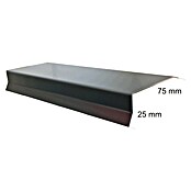 Sarei Stirnbrettprofil (100 x 75 x 25 mm, Aluminium)