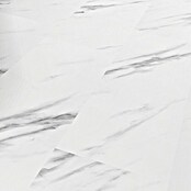 Revêt Wandpaneel SPC Wall (600 x 300 mm, Marbel High Gloss, Hochglänzend) | BAUHAUS