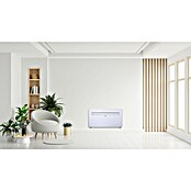 Olimpia Splendid Klimatska naprava EKOSTAR MONOBLOC 30  (Zmogljivost hlajenja: 2.900 W, Ogrevalna moč: 2.600 W) | 3419 - Split Marke | CBKC - Klima Marke | CBK - Klima | CB - Elektroinstallation | C - Elektro | BAUHAUS