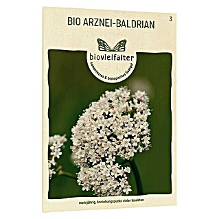 samenmaier Wildblumensamen Bio Arznei-Baldrian (Valeriana officinalis, Weiß/Zartrosa)