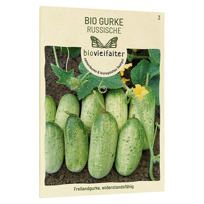 samenmaier Gemüsesamen Bio Gurke Russische (Cucumis sativus, Erntezeit: Juni) | BAUHAUS