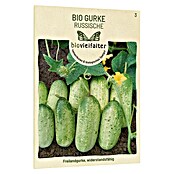 samenmaier Gemüsesamen Bio Gurke Russische (Cucumis sativus, Erntezeit: Juni) | BAUHAUS