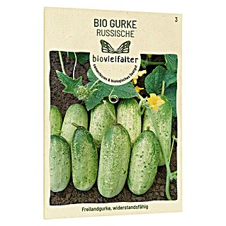 samenmaier Gemüsesamen Bio Gurke Russische (Cucumis sativus, Erntezeit: Juni)