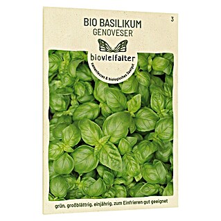 samenmaier Kräutersamen Bio Basilikum Genoveser (g Ocimum basilicum, Erntezeit: Juli)