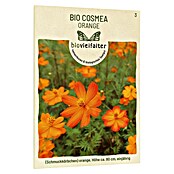 samenmaier Blumensamen Bio Cosmea Orange (Cosmos sulphureus, Orange) | BAUHAUS