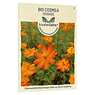 samenmaier Blumensamen Bio Cosmea Orange (Cosmos sulphureus, Orange)