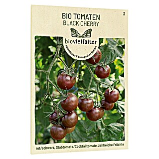 samenmaier Gemüsesamen Bio Tomaten Black Cherry (Solanum lycopersicum, Erntezeit: Juli)