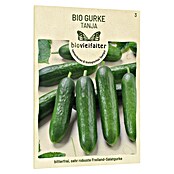 samenmaier Gemüsesamen Bio Gurken Tanja (Cucumis sativus, Erntezeit: Juli) | BAUHAUS