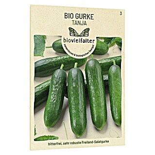 samenmaier Gemüsesamen Bio Gurken Tanja (Cucumis sativus, Erntezeit: Juli)