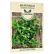 samenmaier Kräutersamen Bio Petersilie Gigante d’Italia (Lebensdauer Pflanzen: Einjährig, 3 g) | BAUHAUS