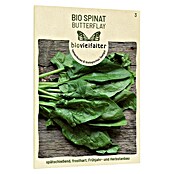 samenmaier Gemüsesamen Bio Spinat Butterflay (Lebensdauer Pflanzen: Mehrjährig, 15 g) | BAUHAUS