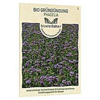samenmaier Gründüngung Bio Phacelia (Phacelia tanacetifolia, 10 m²)