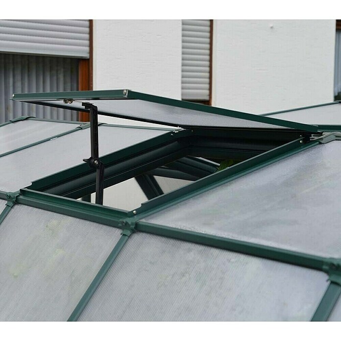 Rion Invernadero (2,66 x 3,89 x 2,08 m, Acristalamiento: Policarbonato, Espesor de pared: 6 mm, Verde)