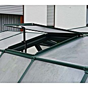 Rion Invernadero (2,66 x 3,89 x 2,08 m, Acristalamiento: Policarbonato, Espesor de pared: 6 mm, Verde)