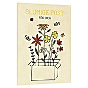 samenmaier Blumensamenmischung - und Kräutermischung Grußkarte (Blumige Post für dich, Ein- und mehrjährige Arten) | BAUHAUS