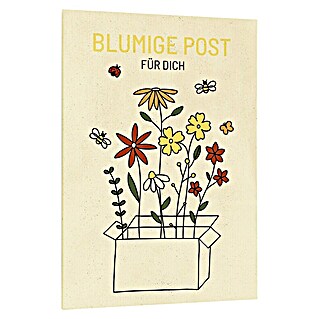 samenmaier Blumensamenmischung - und Kräutermischung Grußkarte (Blumige Post für dich, Ein- und mehrjährige Arten)