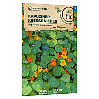 samenmaier Kräutersamen Bio Kapuzinerkresse niedrig (Tropaeolum majus nanum, Erntezeit: Juli)