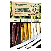 samenmaier Gemüsesamen Bio Karottenmischung Saatband (Daucus carota Gniff, Blanche de Küttingen und Jaune du Doubs, Erntezeit: August, 3 x 2 m) | BAUHAUS