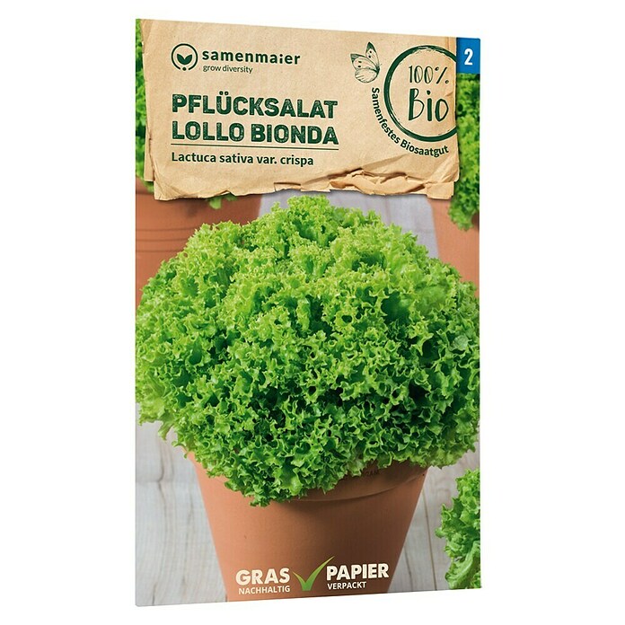 samenmaier Salatsamen Bio Pflücksalat Lollo Bionda (Lactuca sativa var. crispa, Erntezeit: April, 1 g) | BAUHAUS