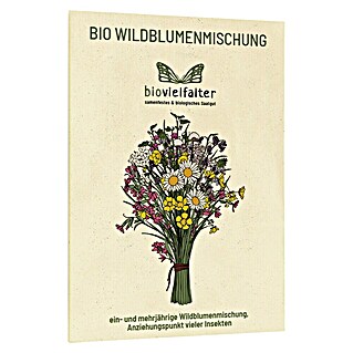 samenmaier Wildblumensamen Bio Mischung (Einjährig, Taraxacum officinale)