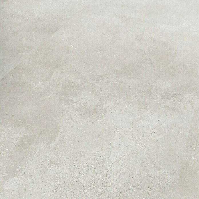 Revêt Wandpaneel SPC Wall (1 200 x 600 mm, Beige Matt) | BAUHAUS