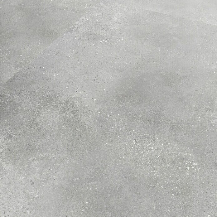 Revêt Wandpaneel SPC Wall (1 200 x 600 mm, Concrete Matt) | BAUHAUS