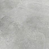 Revêt Wandpaneel SPC Wall (1 200 x 600 mm, Concrete Matt) | BAUHAUS