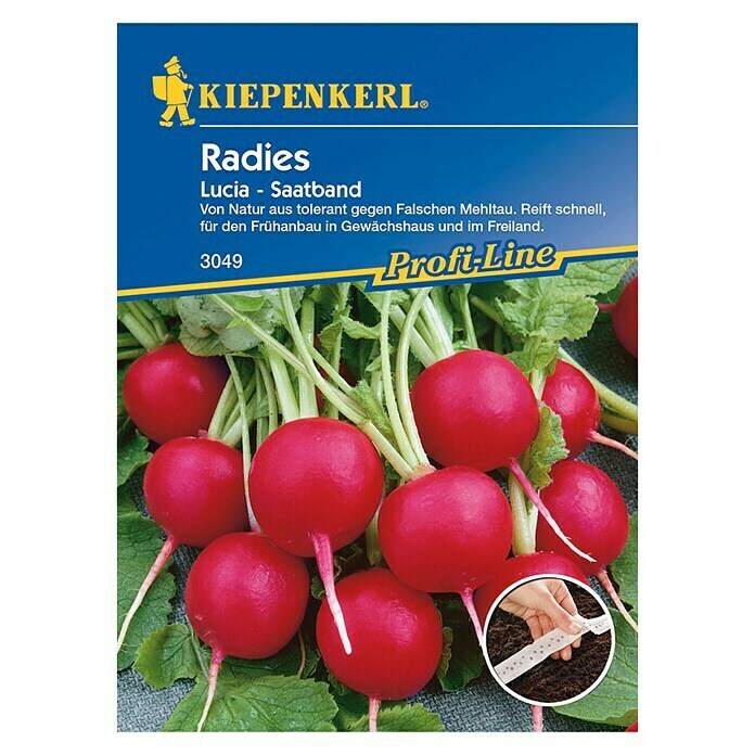 Kiepenkerl Profi-Line Radieschen Lucia (Raphanus sativus var. sativus, Inhalt ausreichend für ca.: 5 m)