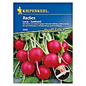 Kiepenkerl Profi-Line Radieschen Lucia (Raphanus sativus var. sativus, Inhalt ausreichend für ca.: 5 m)