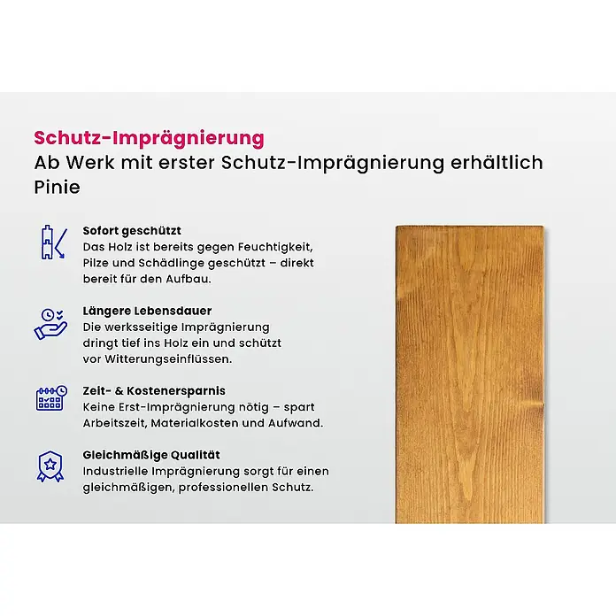 Alpholz Gartenhaus Liwa - Außenmaß inkl. Dachüberstand (B x T): 728 x 317 cm, Holz, Pinie