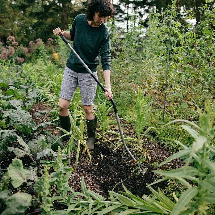 Fiskars Jäter Ergonomic - L x B x H: 1.660 x 230 x 260 mm - Eine Person bearbeitet den Boden in einem üppigen Garten mit einer langstieligen, grau-schwarzen Hacke.