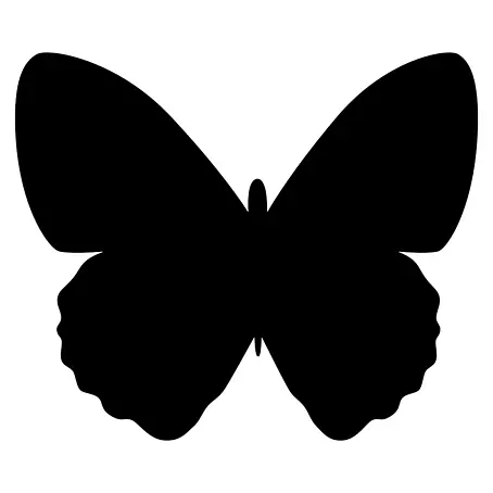 Pizarra de pared Mariposa