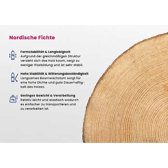 Alpholz Gartenhaus Quinta - Außenmaß inkl. Dachüberstand (B x T): 720 x 530 cm, Holz, Naturbelassen
