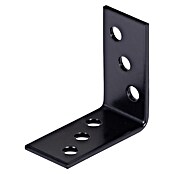 Stabilit Escuadra con placa perforada (L x An x Al: 40 x 40 x 20 mm, Revestido, Espesor: 2 mm) | BAUHAUS