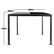 Sunfun Anstellpavillon (L x B x H: 300 x 300 x 255 cm, Anthrazit)