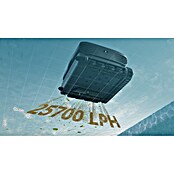 Beatbot Robot de piscina Sora P7 (Funcionamiento con batería, Específico para: Piscinas de hasta 300 m², Potencia de filtración: 25,7 m³/h) | BAUHAUS