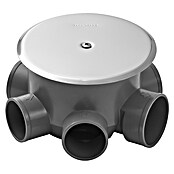 Tecnoagua Sumidero sifónico (5 salidas de Ø40 mm) | BAUHAUS