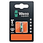 Wera Diamantbit 867/1 IMP DC - TX 20 x 25 (TX 20, 25 mm) | BAUHAUS