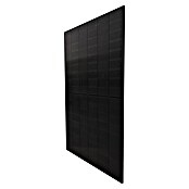 Solarmodul Glas Bifazial (L x B x H: 172,2 x 113,4 x 3 cm, 445 W) | BAUHAUS