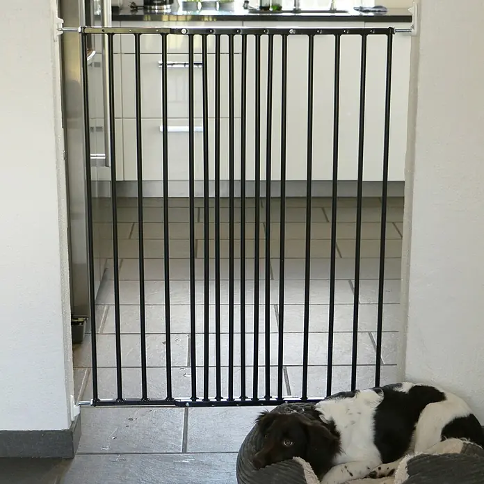 Dolle Sicherheitsgitter Tierschutz - Höhe: 103 cm, Anthrazit - Schwarzes Metall-Schutzgitter in Türrahmen installiert, mit Hund in der Nähe.