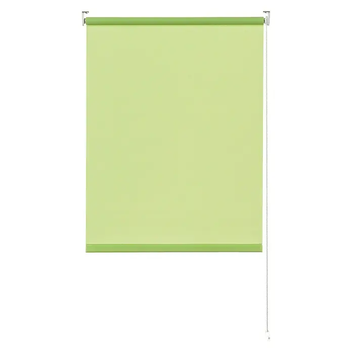 Expo Ambiente Rollo Mini - B x H: 100 x 150 cm, Grün, Uni, Tageslichtdurchlässig - Ein grünes Rollo, das sich ideal zur Verdunkelung von Räumen eignet und gleichzeitig für eine angenehme Atmosphäre sorgt.