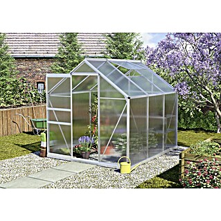Vitavia Gewächshaus Calypso 4400 (Außenmaß inkl. Dachüberstand (B x T): 195 x 232 cm, 4 mm, Aluminium)