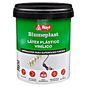 Rayt Aglomerante látex Blumeplast M-10 (1.000 g) | BAUHAUS