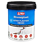 Rayt Aglomerante látex Blumeplast M-20 (1.000 g) | BAUHAUS